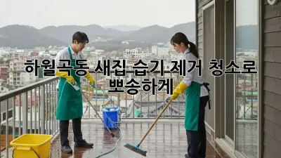🏡 하월곡동 새집, 습기 제거 청소로 뽀송하게! ✨